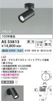 AS53813
