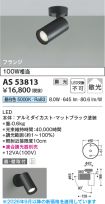 AS53813