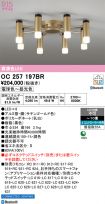OC257197BR