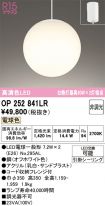 OP252841LR