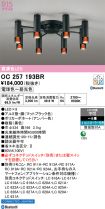 OC257193BR