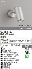 OG254850P1