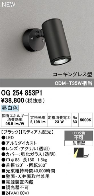 OG254853P1