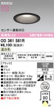 OD361581R