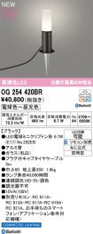 OG254420BR