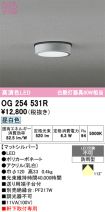 OG254531R