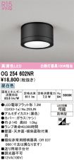 OG254602NR