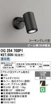 OG254700P1