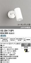 OG254715P1