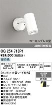 OG254718P1