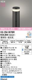 OG254957BR