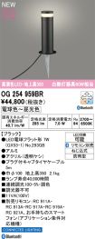 OG254959BR
