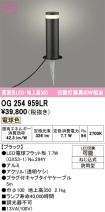 OG254959LR