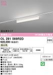 OL291569R2D