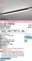 OL291570R1M