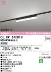 OL291572R1B