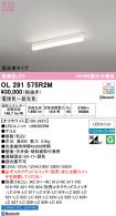 OL291575R2M