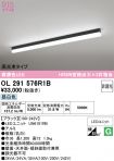 OL291576R1B