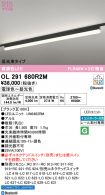OL291680R2M