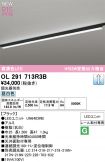 OL291713R3B