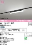 OL291572R1B
