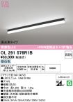 OL291576R1B