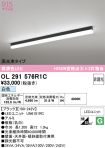 OL291576R1C