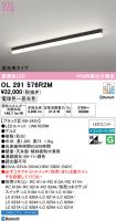 OL291576R2M