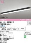OL291680R2C