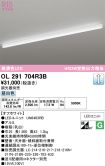OL291704R3B