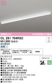 OL291704R3C