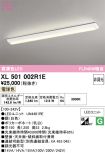 XL501002R1E