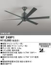 WF249P1