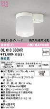 OL013380NR