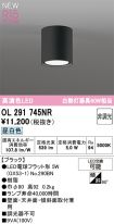 OL291745NR