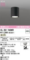 OL291745WR