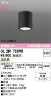 OL291753WR