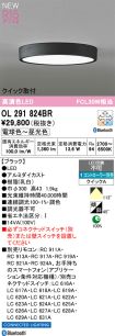 OL291824BR
