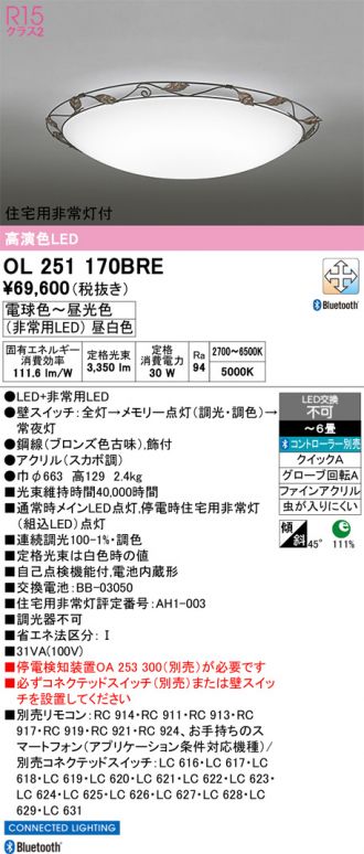OL251170BRE