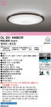 OL251446BCR