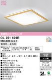 OL251629R