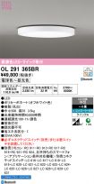 OL291365BR