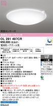 OL291497CR