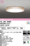 OL291506R