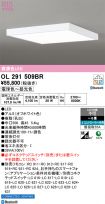 OL291509BR