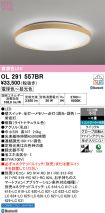 OL291557BR