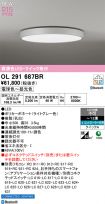 OL291687BR