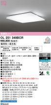 OL251349BCR