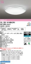 OL251618BCR1