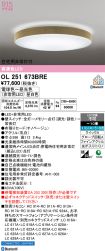 OL251673BRE